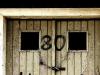 Eighty Eighty