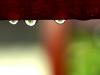 Three green drops Three green drops