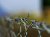 There are many spikes between the periods of life... There are many spikes between the periods of life...