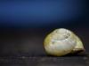 UNINHABITED - PART THREE - UNINHABITED - PART THREE -